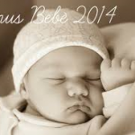 bonus bebe 2014